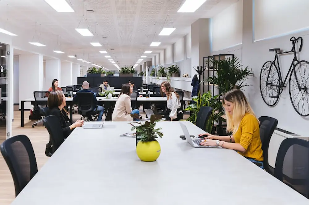 Qué es coworking y cómo funciona Una nueva forma de trabajar